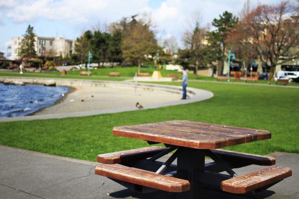 Park picnic table in Kirkland, Washington near The 101