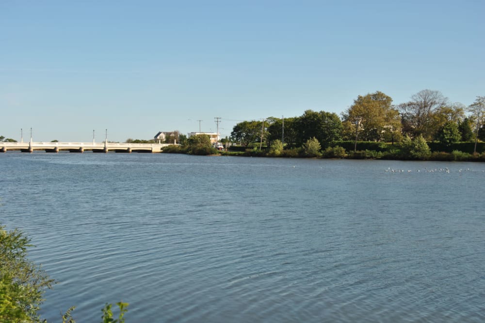 Water views at Edgewater Gardens Apartment Homes