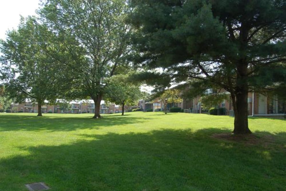 Beautiful yard at Longview Apartment Homes in Wilmington, DE