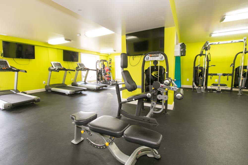 Luxury fitness center at Chesapeake Glen Apartment Homes in Glen Burnie, MD