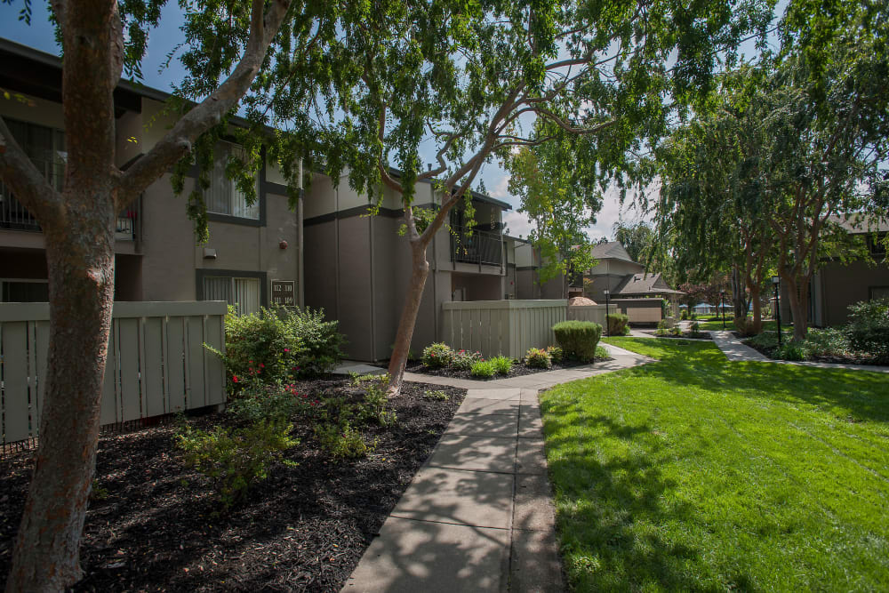 Large grass lawns at Valley Ridge Apartment Homes in Martinez, California
