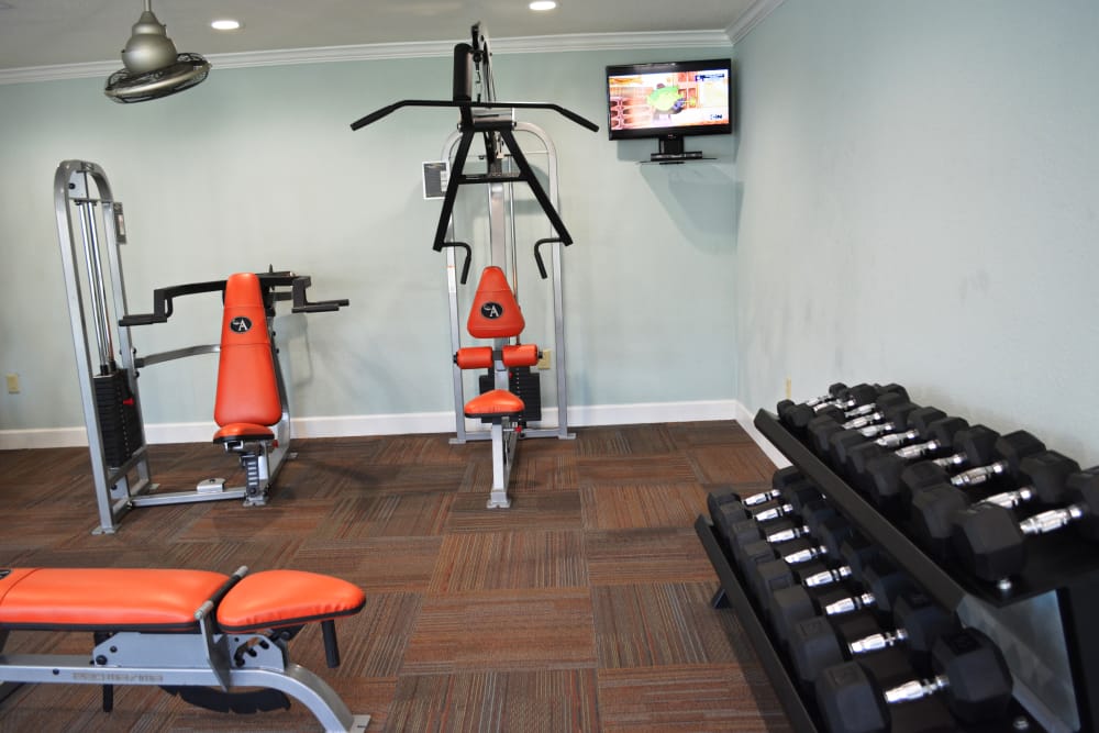 Houston Tx Apartments In Torrey Pines The Abbey At