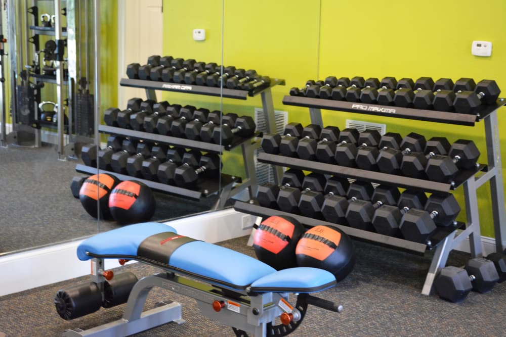 Modern free weights at The Abbey at Eagles Landing in Stockbridge, Georgia