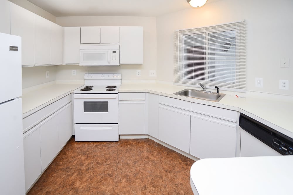 Enjoy apartments with a natrually well-lit kitchen at Seagrass Cove Apartment Homes