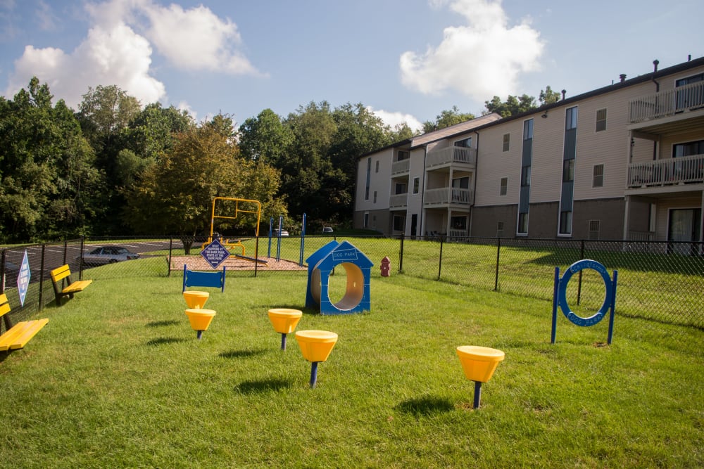 Dog park with agility equipment at Squires Manor Apartment Homes in South Park, Pennsylvania