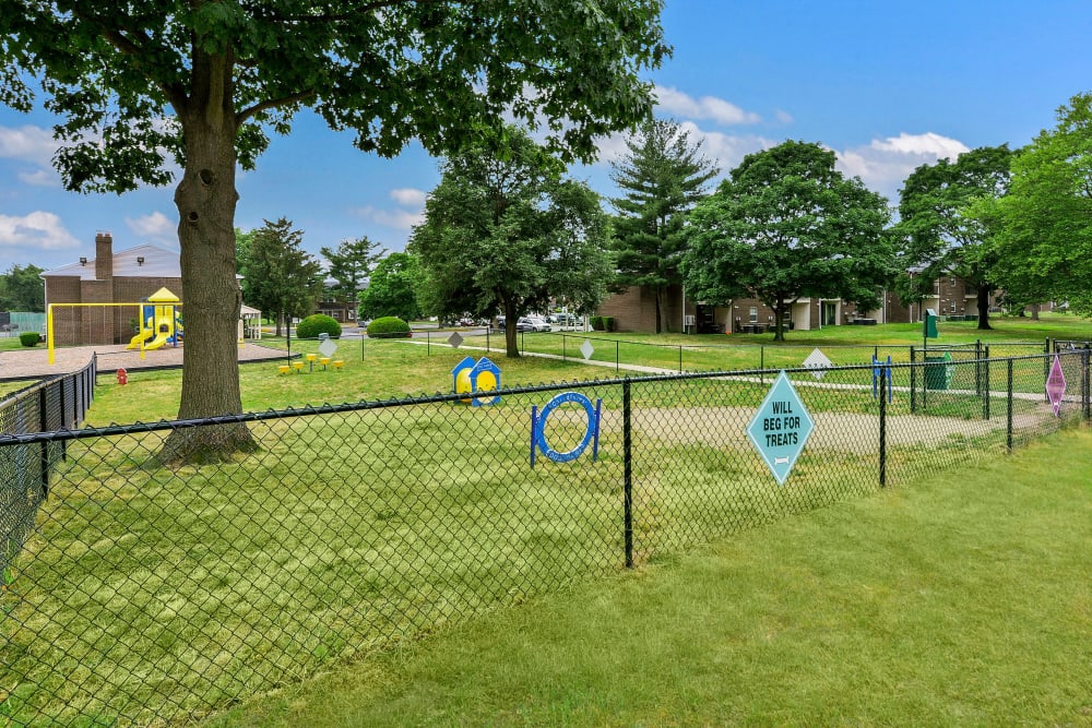 Our Apartments in Lumberton, New Jersey offer a Dog Park