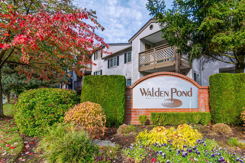 Photos of Walden Pond Apartments in Everett, WA