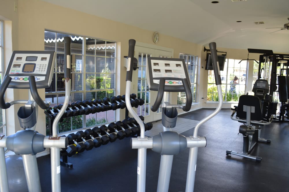 Modern fitness equipment at The Abbey at Briargrove Park in Houston, Texas