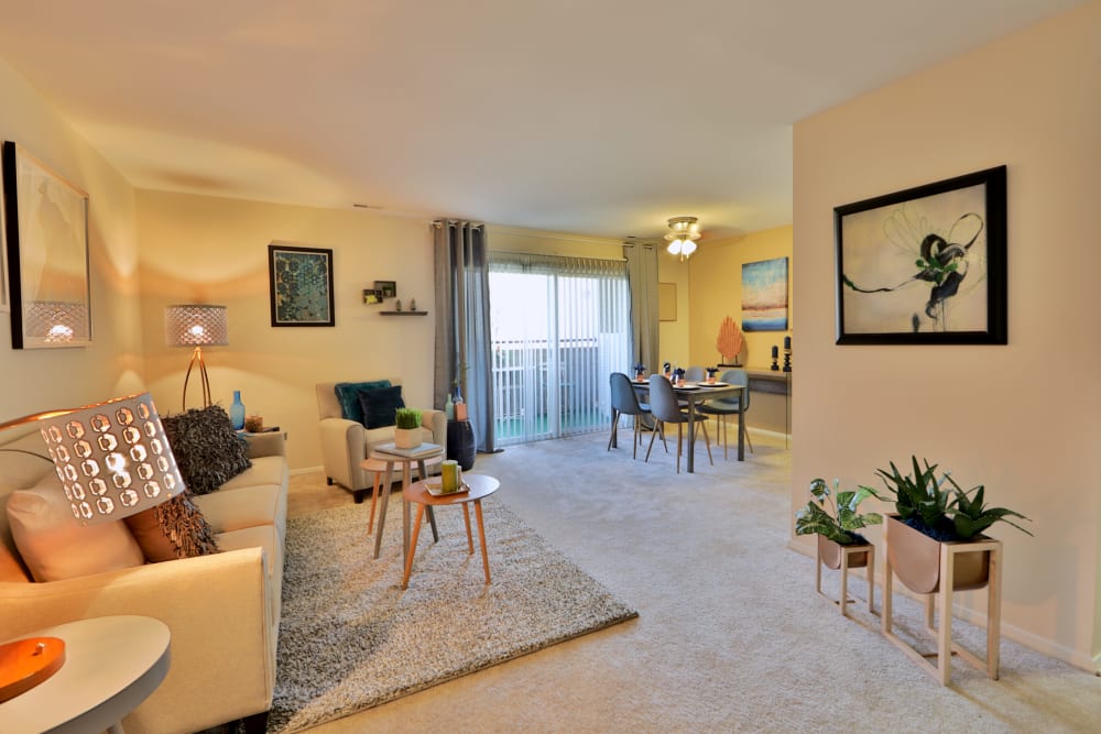 Our apartments in Baltimore, MD have a naturally well-lit living room