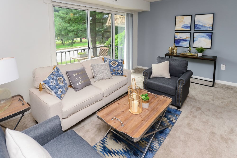Country Village Apartment Homes offers a modern living room in Dover, Delaware