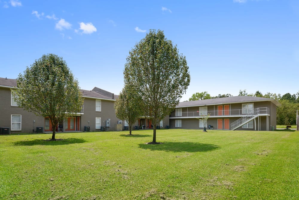Large lawn with trees and housing at Avalon Apartment Homes in Baton Rouge, Louisiana