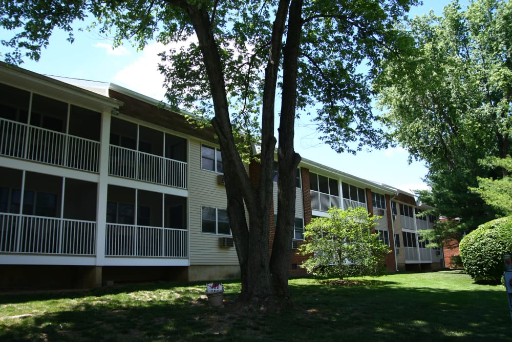 Park Apts Bordentown Nj