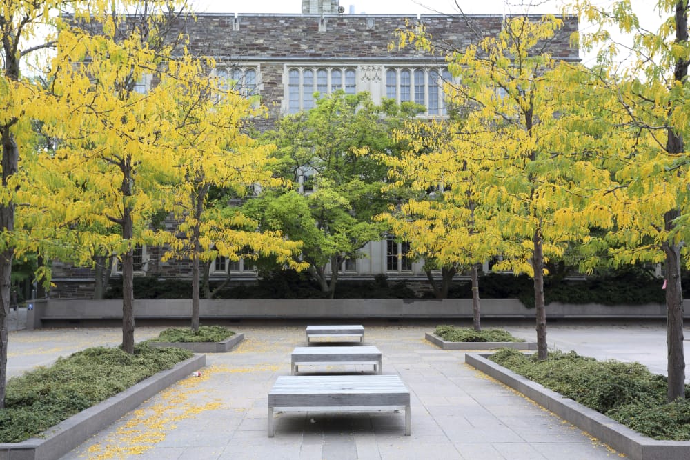 A courtyard in New Jersey