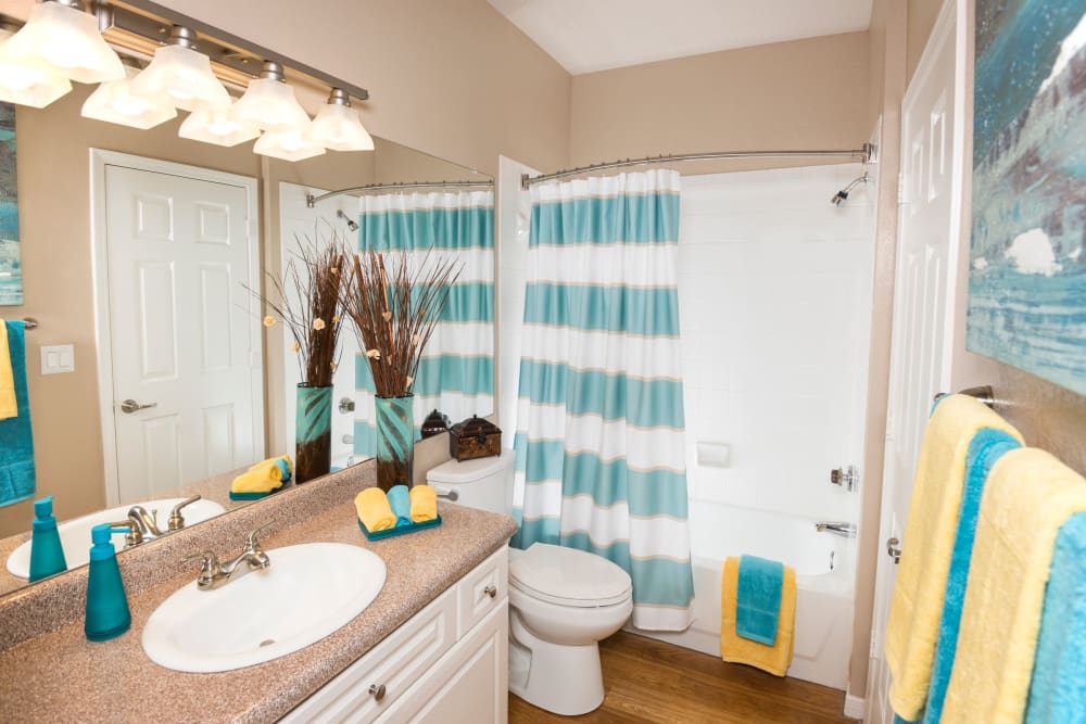 Bathroom at Crescent Cove at Lakepointe
