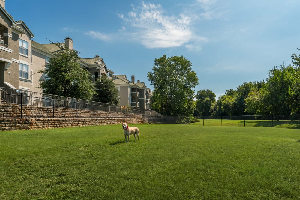 Dog park at the Lakeview at Parkside 