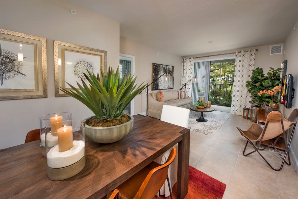 Virtual Tour And Photos Of Casa Vera Luxury Apartments