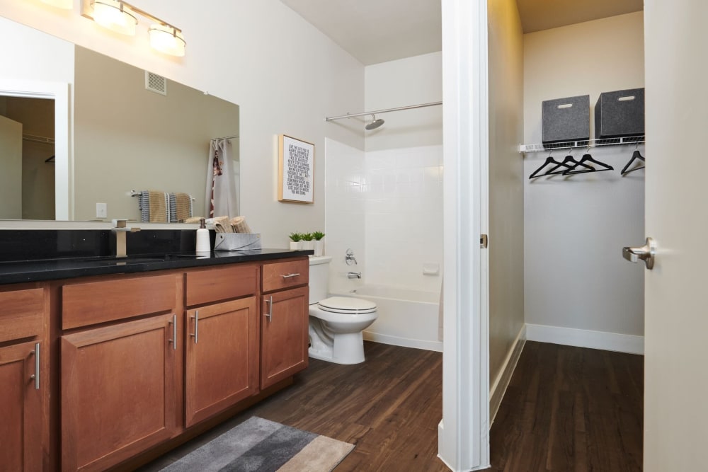 Photos of Parallax in TX