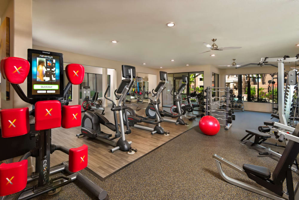 Fitness Center at The Palisades at Paradise Valley Mall