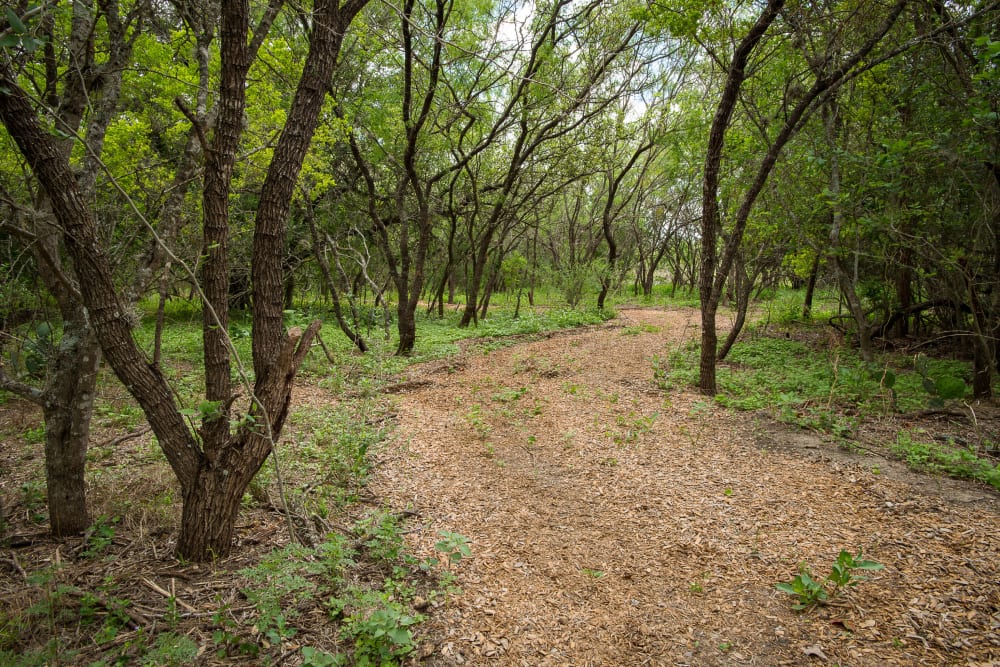 Path way between forest at Villas in Westover Hills in San Antonio, Texas