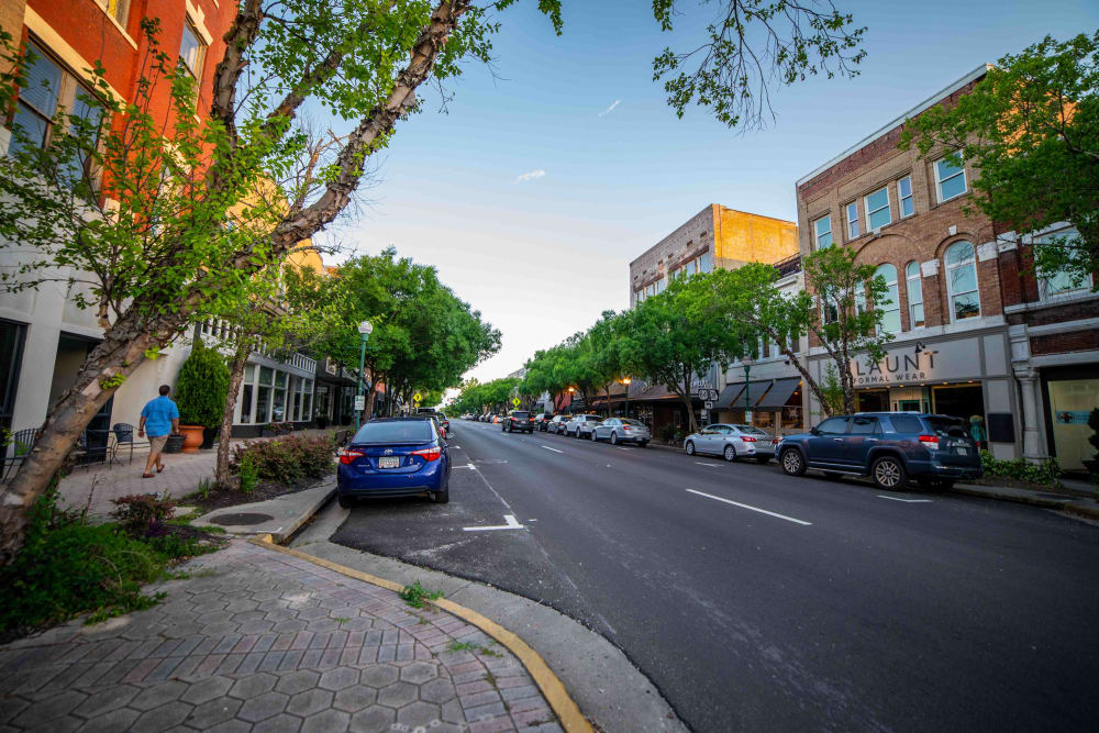 Valdosta Apartments near Valdosta State University & Downtown