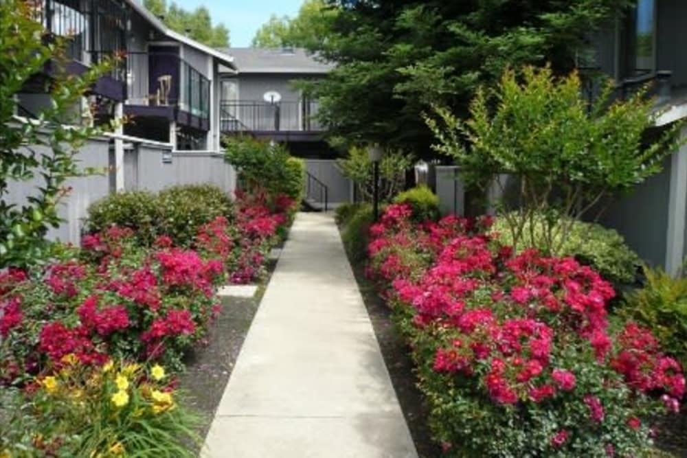 Walkway at Sutter Court Apartments in Carmichael, California