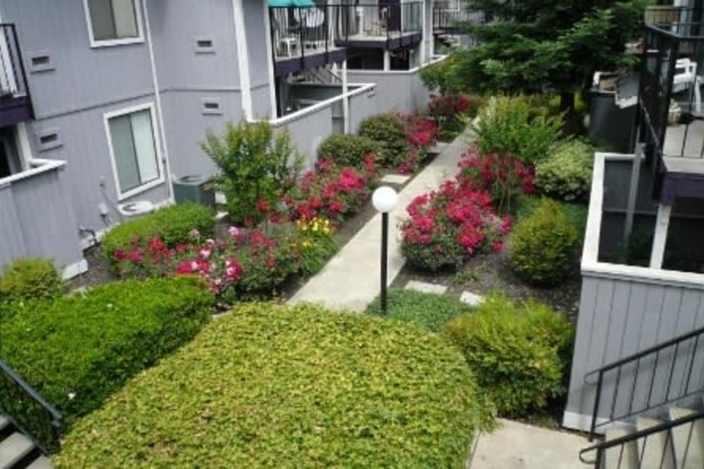 Exterior of apartments at Sutter Court Apartments in Carmichael, California