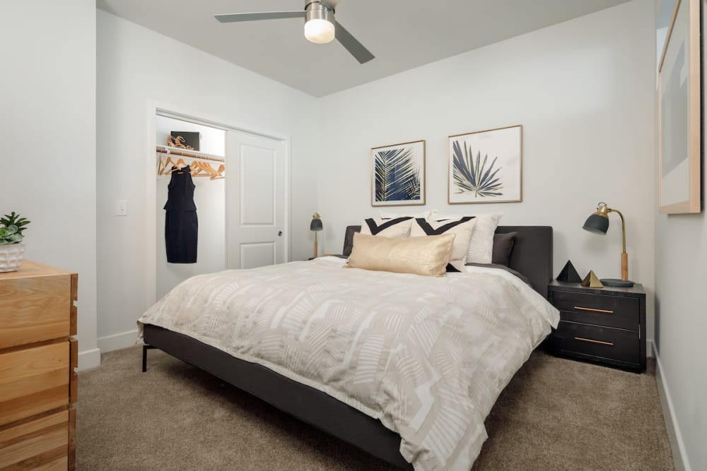 Northwest Side San Antonio, TX Apartments Ascent Cresta Bella