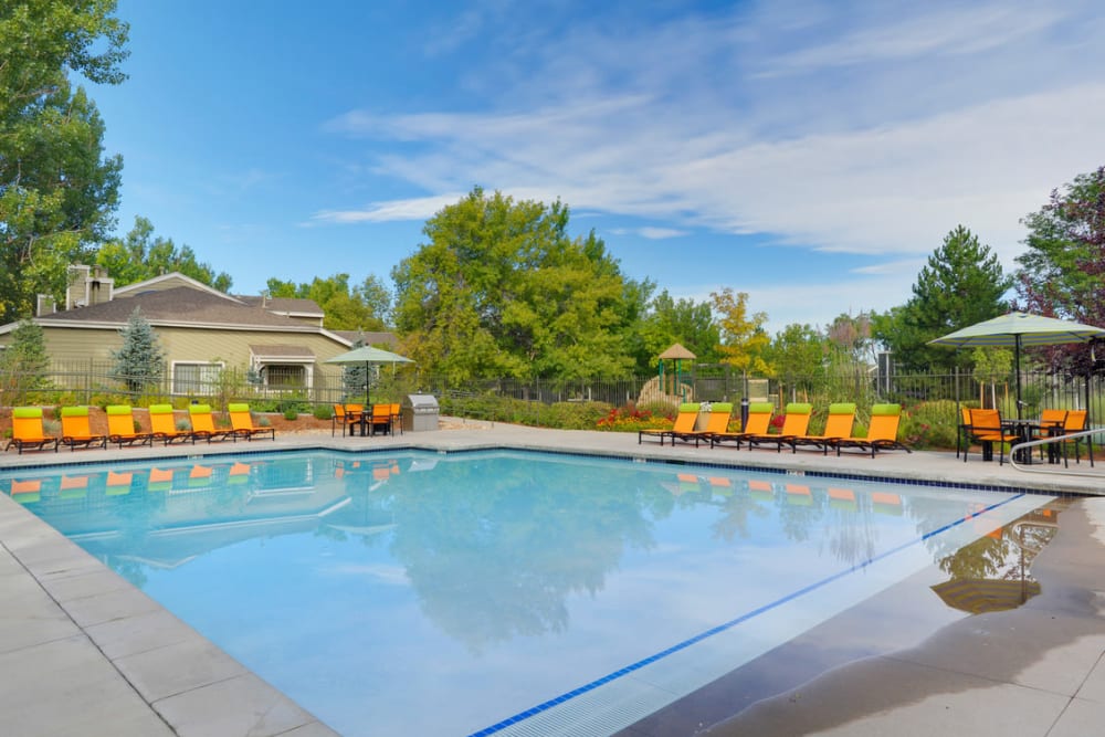 Swimming Pool at Apartments in Westminster, Colorado