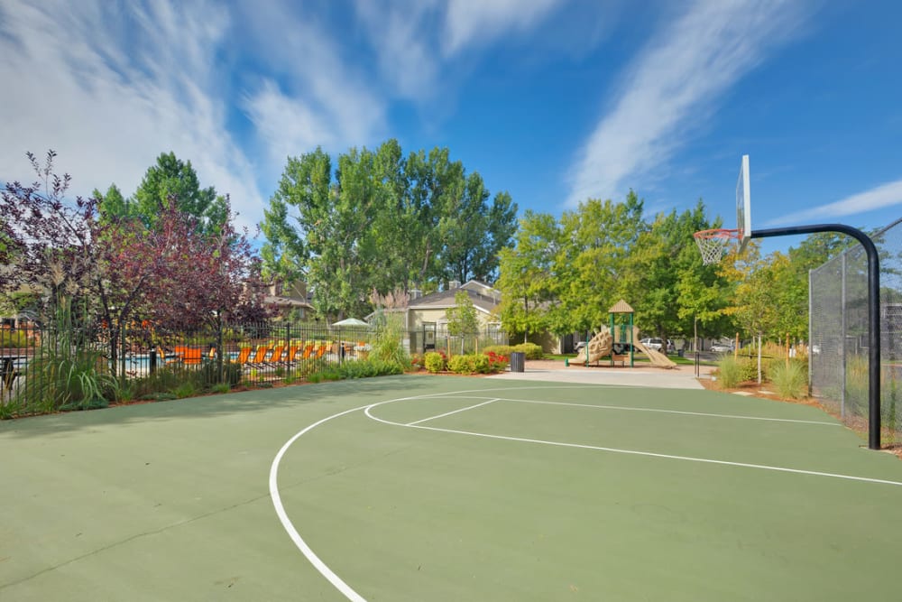Our Apartments in Westminster, Colorado offer a Basketball Court
