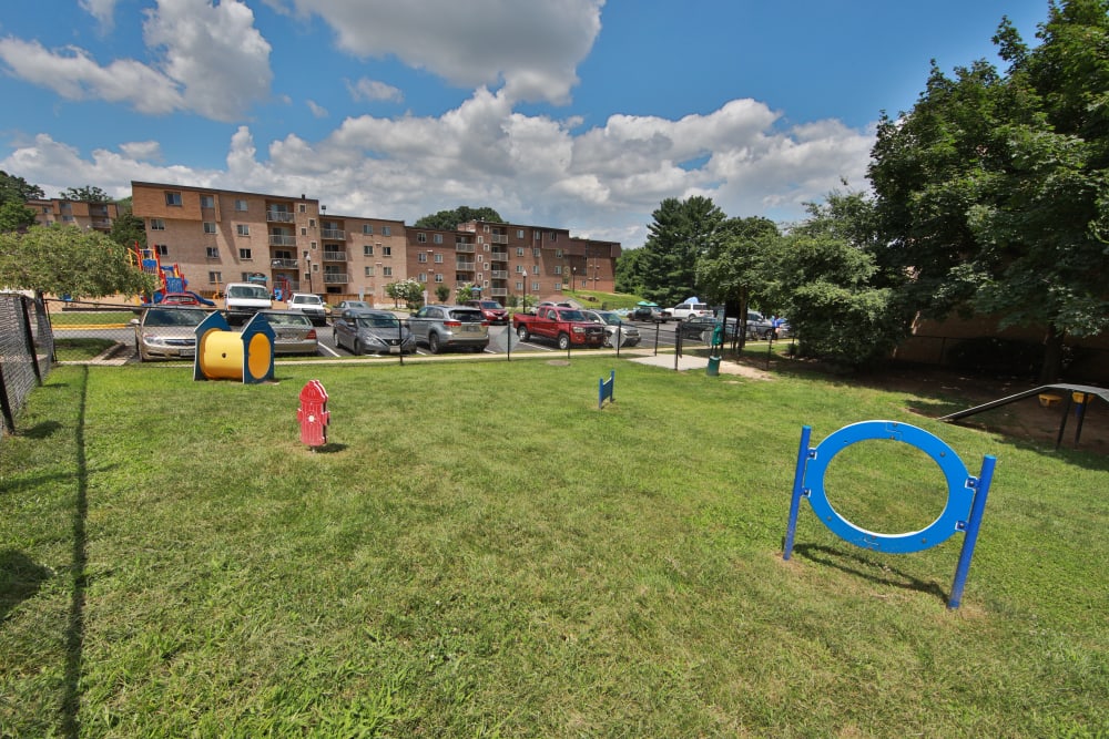 Dog park with agility equipment at The Willows Apartment Homes in Glen Burnie, Maryland