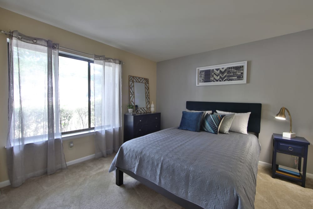 northampton apartment homes