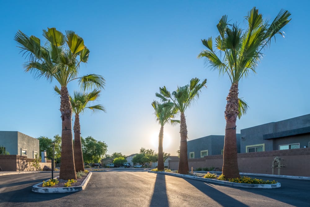 Apartments and sunset view at Avilla Grace in Chandler, Arizona