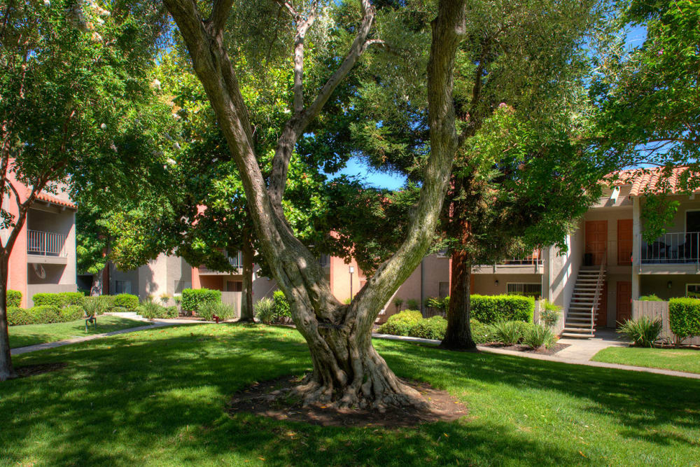 Beautiful landscaped location at La Valencia Apartment Homes in Campbell, California