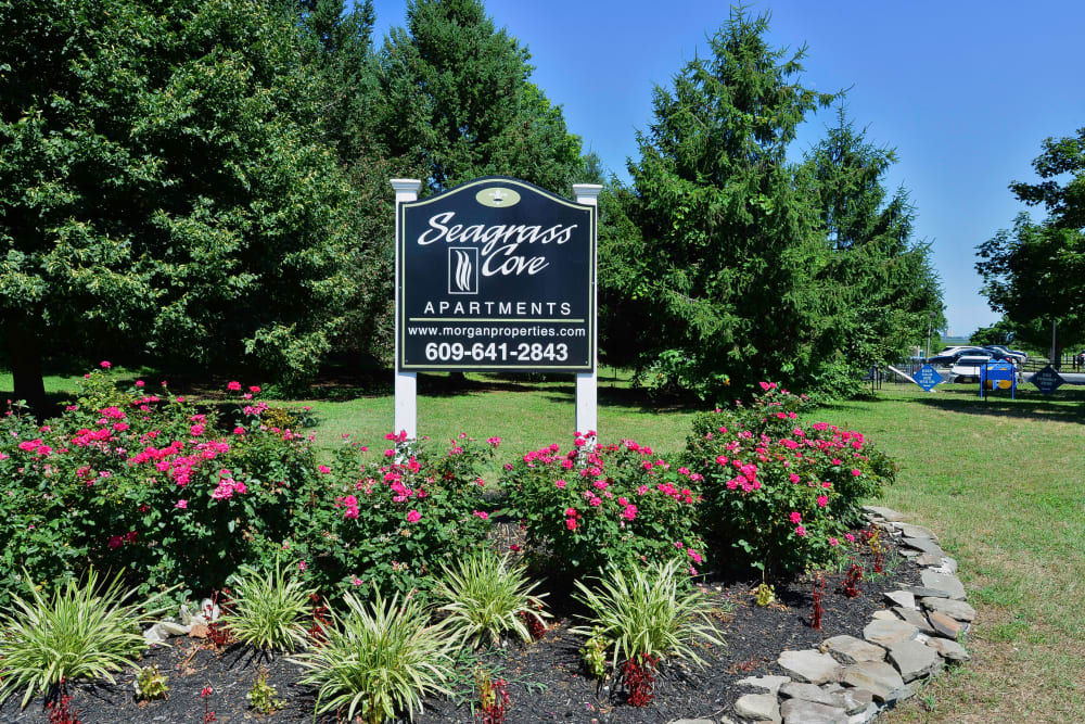 Beautiful outdoor area at Seagrass Cove Apartment Homes in Pleasantville, New Jersey