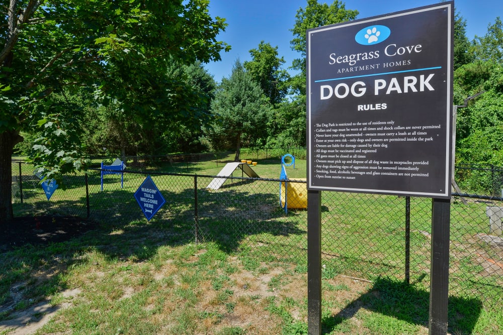 Dog park with agility equipment at Seagrass Cove Apartment Homes in Pleasantville, New Jersey