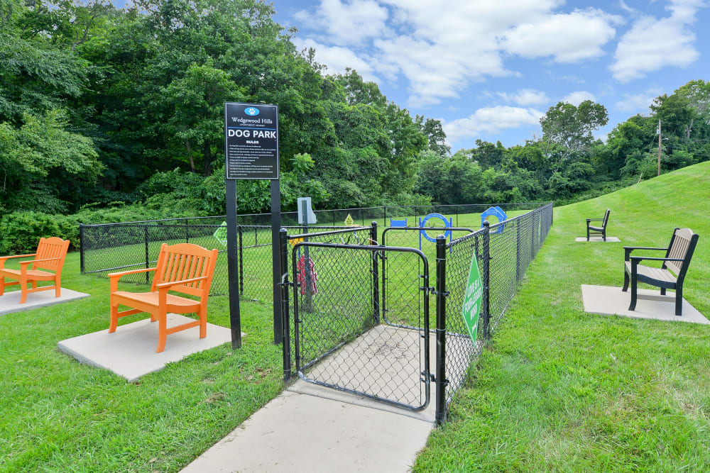 Fenced offleash dog park at Wedgewood Hills Apartment Homes in Harrisburg, Pennsylvania