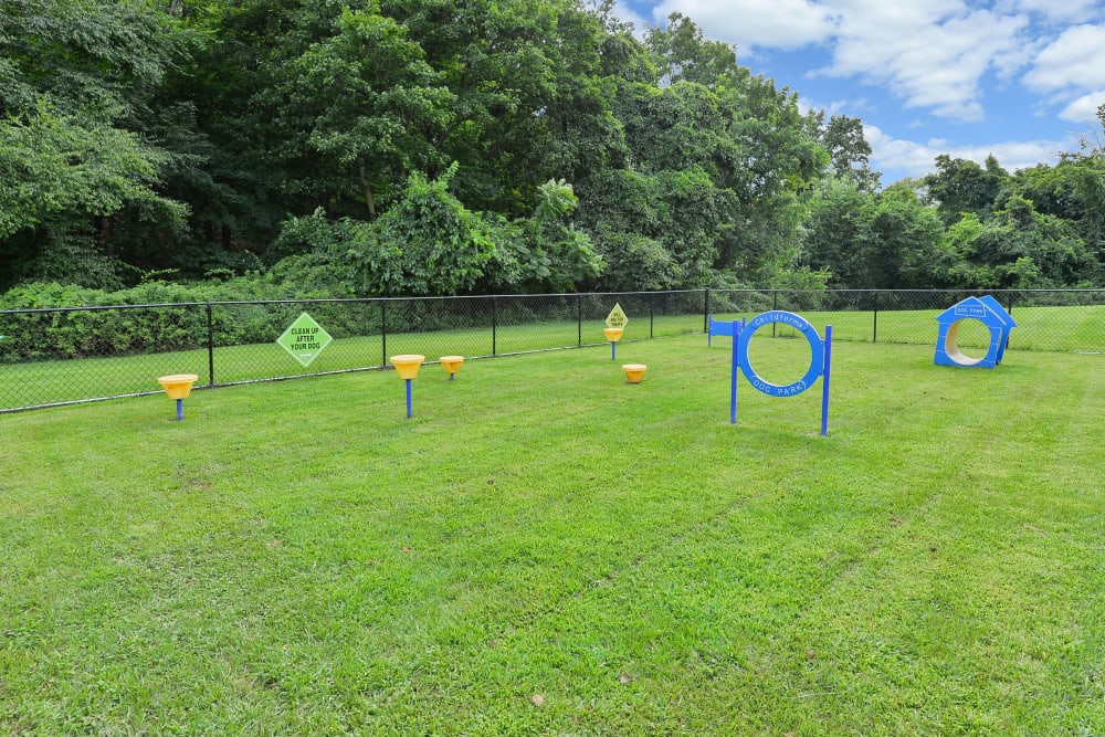 Dog park with agility equipment at Wedgewood Hills Apartment Homes in Harrisburg, Pennsylvania