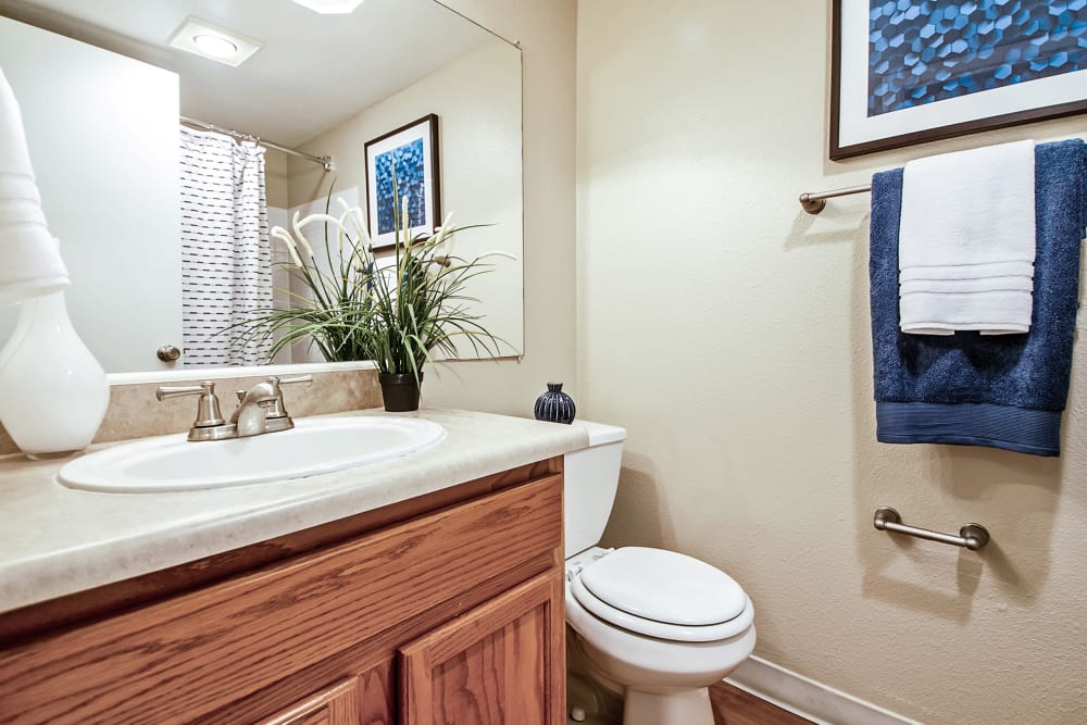 Bathroom at Broadmoor Ridge Apartment Homes in Colorado Springs, Colorado