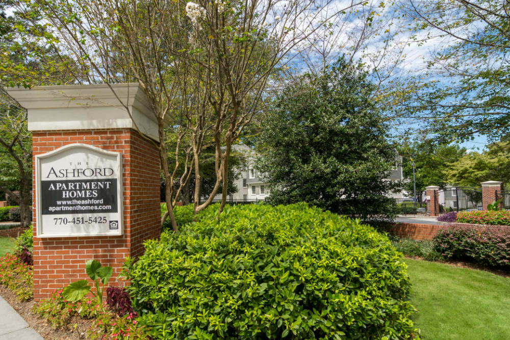 Photos of The Ashford Apartment Homes in Brookhaven, GA