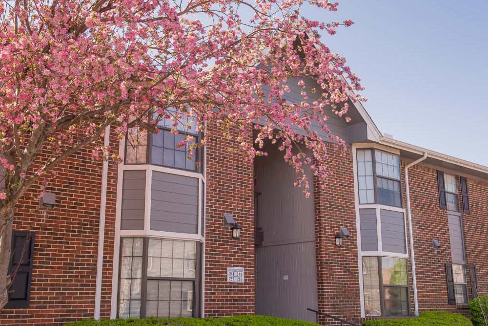 Resident buildings and blossoming cherry tree at The Greens of Bedford in Tulsa, Oklahoma