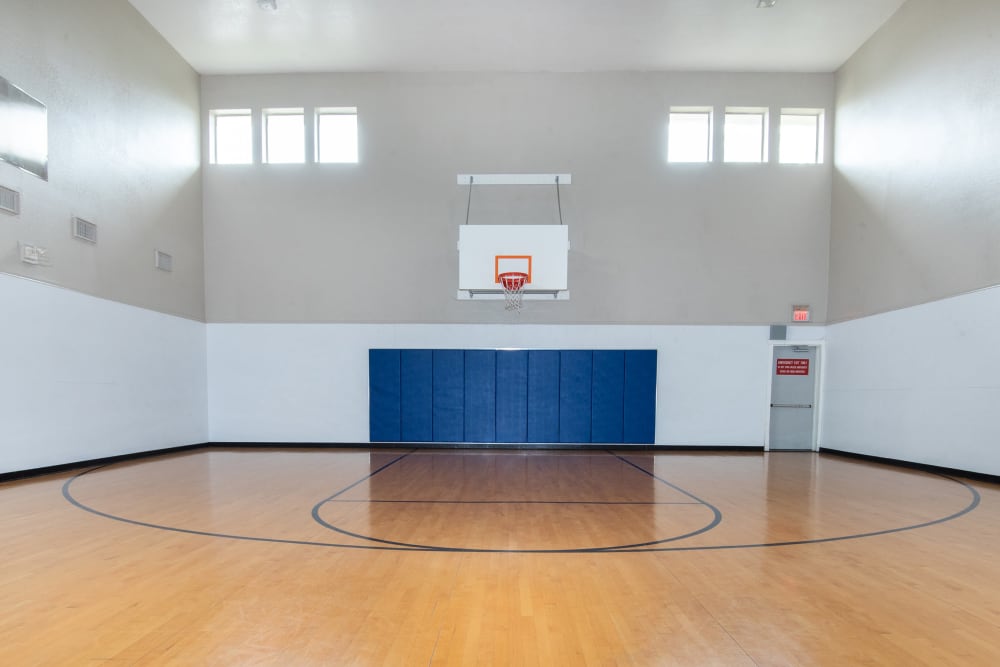 Our Apartments in McKinney, Texas offer a Basketball Court