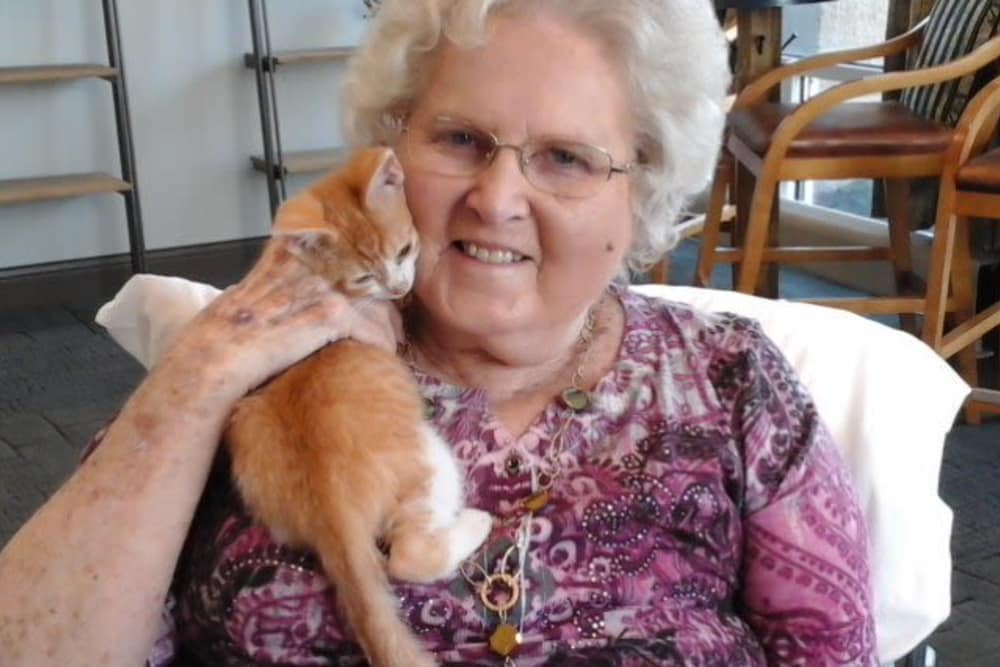 A happy resident with a kitten at Harrison's Crossing Health Campus in Terre Haute, Indiana