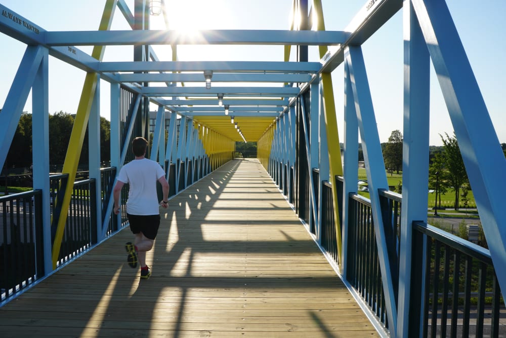 Local walking trails near Loring Park Apartments in Minneapolis, Minnesota