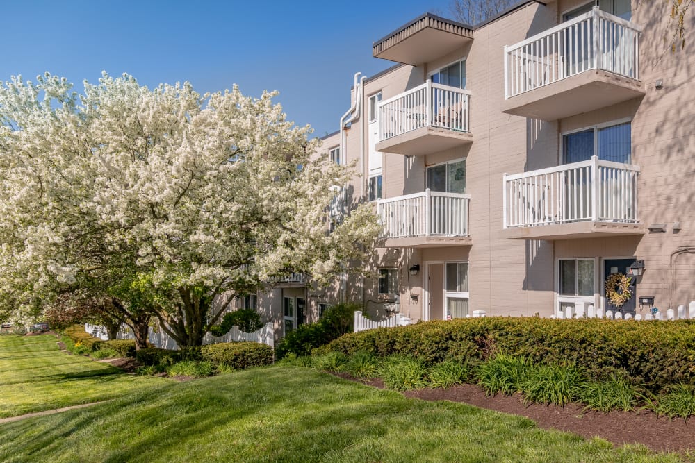 Exterior view of Curren Terrace in Norristown, Pennsylvania