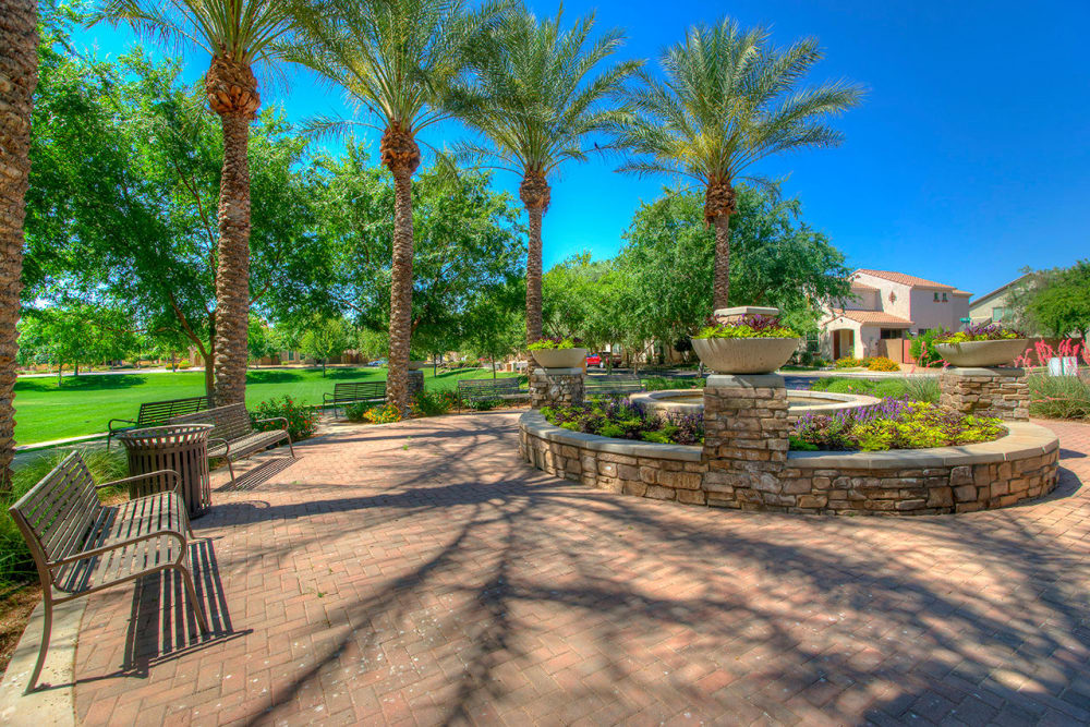 Onsite park with large palm trees at BB Living at Higley Park in Gilbert, Arizona