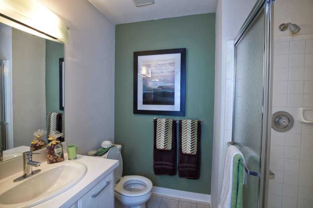 Bathroom with walk-in shower at Lakeside Terraces in Sterling Heights, Michigan