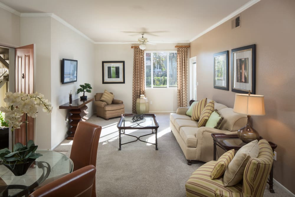 Luxury 1 & 2 Bedroom Apartments in Aliso Viejo, CA | Floor ...