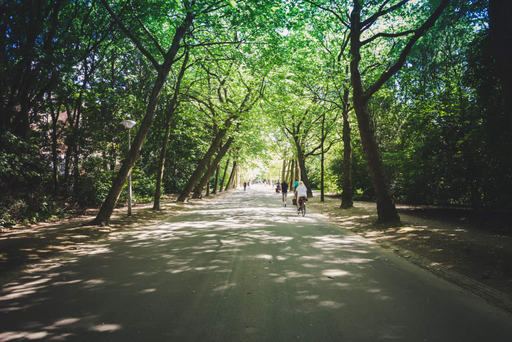 a beautiful green walkway at The Fairway Apartments in Salem, Oregon