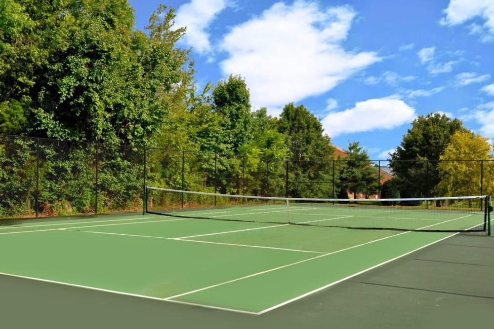 A full-size tennis court surrounded by greenery at Goldelm at Metropolitan in Knoxville, Tennessee