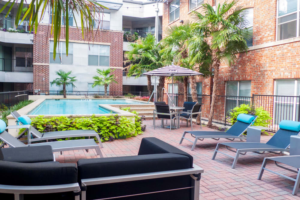 Virtual Tour and Photos of 1001 Ross in Dallas, TX